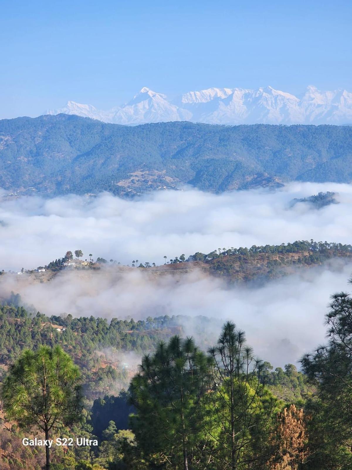 Nandini Cottage, A Premium Boutique Homestay Ranikhet Exteriér fotografie